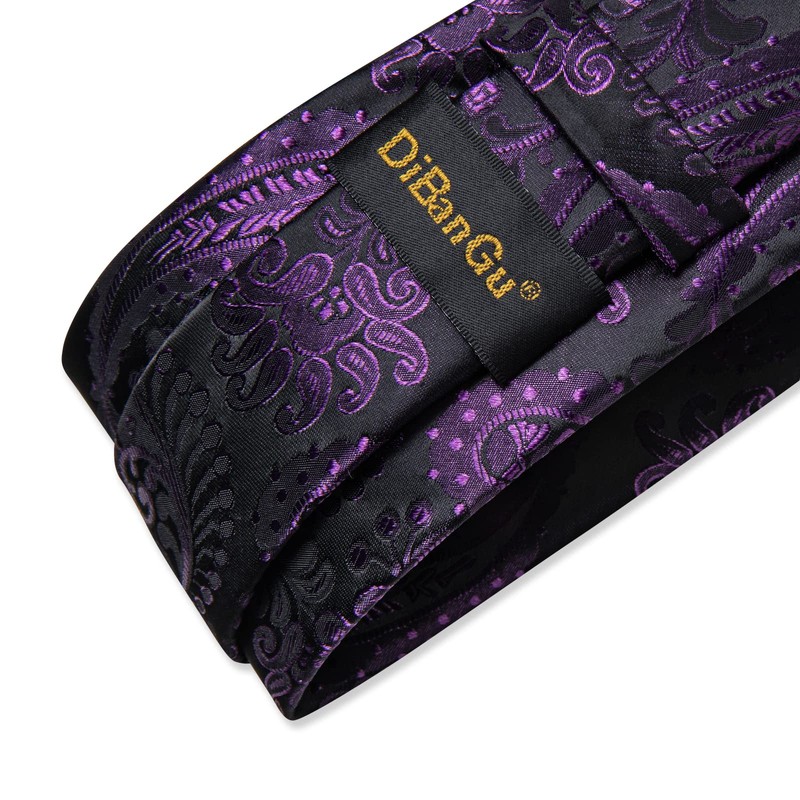 DiBanGu Silk Paisley Ties for Men Woven Necktie and Pocket