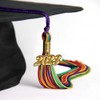 Endea Graduation Double Color Tassel with Gold Date Drop (Rainbow,