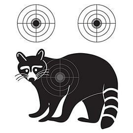 Lancy's Artwork Raccoon Varmint Gun Practice Targets