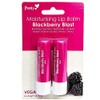 Pack of 2 Moisturising Lip Balm Fruity Flavoured Scent Soothes