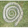 5' Realistic Chain King Snake Replica - Rubber