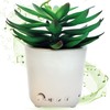 Sleep Plant - Sound Machine - Fan Sounds - White