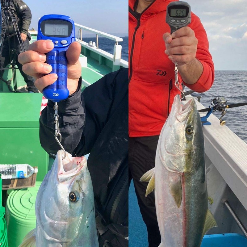 Daiwa Digital Scale, Gray, Maximum Measured Weight: Approx. 55.1 lbs