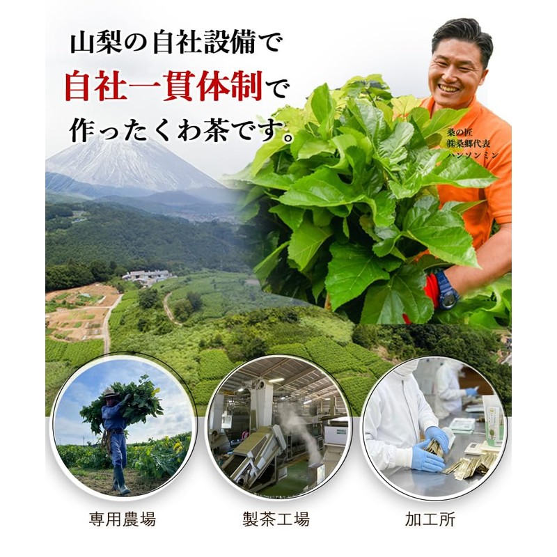 Mulberry Tea Bags, Mulberry from Yamanashi Prefecture, Enhanced Ingredients Extract,