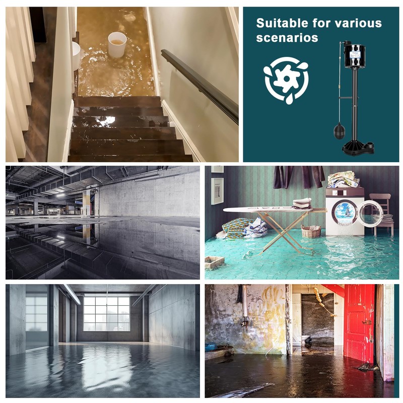 FLOWPAC Pedestal Sump Pump with Vertical Float Switch, Thermoplastic Pedestal,