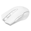 Wireless Mouse 2.4G Rechargeable USB RGB Professional Grade Optical Sensor