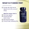 Higher Nature Glutamine - Versatile Amino Acid - 90 Capsules