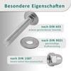 DSM – Schlossschrauben M6 x 55 mm nach DIN 603