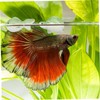 Abaodam 3Pcs Floating Ceramic Aquarium Decor Retro Style Fish Tank