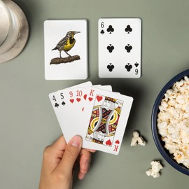 Lantern Press Meadowlark Bird, Icon (52 Playing Cards, Poker Size Card Deck with Jokers)