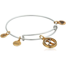 Alex and Ani Women's Initial X II Bangle Two Tone Bracelet, Rafaelian Silver