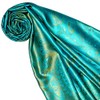 Lorenzo Cana Luxury Men's Scarf Jacquard Woven 100% Silk Paisley