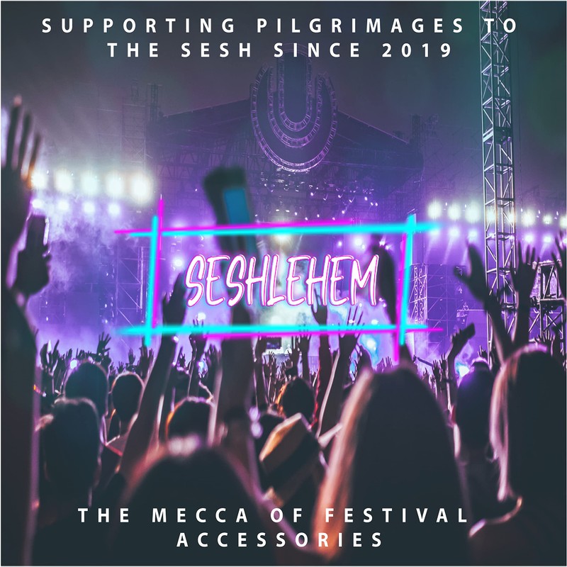 Seshlehem - 2 Pack Secret Ice Pack Flask - 800ml