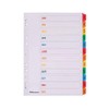 Mylar Punched Dividers A4 Jan-Dec Colour Tabs