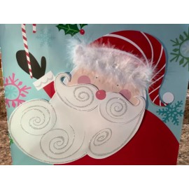 Pier 1 Imports Christmas 13" Gift Bag Applique Santa Iridescent Glitter Feather