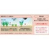 Rainbow Chemical "Root Eradication Ace V" Granules 350g