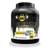 Creatina Monohidratada Guns 1k 200 Varios Sabores