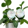 2 Pcs Glass Self Watering Globes, Iridescent Automatic Plant Waterer