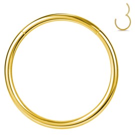 PIERCINGFUN Women Men G23 Titanium Hinged Piercing Nose Rings Hoop 20G 7mm for Nostril Septum Cartilage Helix Daith Tragus Rook Conch Lip Ear Lobe Belly Eyebrow Piercings