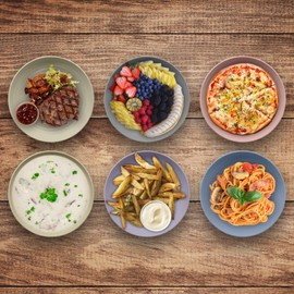 JSYMJSY Wheat Straw Deep Plate, 10" Unbreakable Plates Set of 6, Lightweight Plastic Plate Reusable for Kitchen | Party | Camping | Picnic | RV, Dishwasher & Microwave Safe, Multicolor