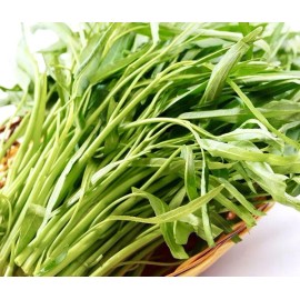 Home-Growth Ong Choy, Water Spinach - 200 Seeds - USA