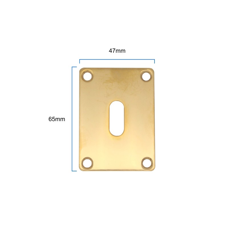 Repair Escutcheon Key Hole Cover Plate Screw Fix Polished Brass