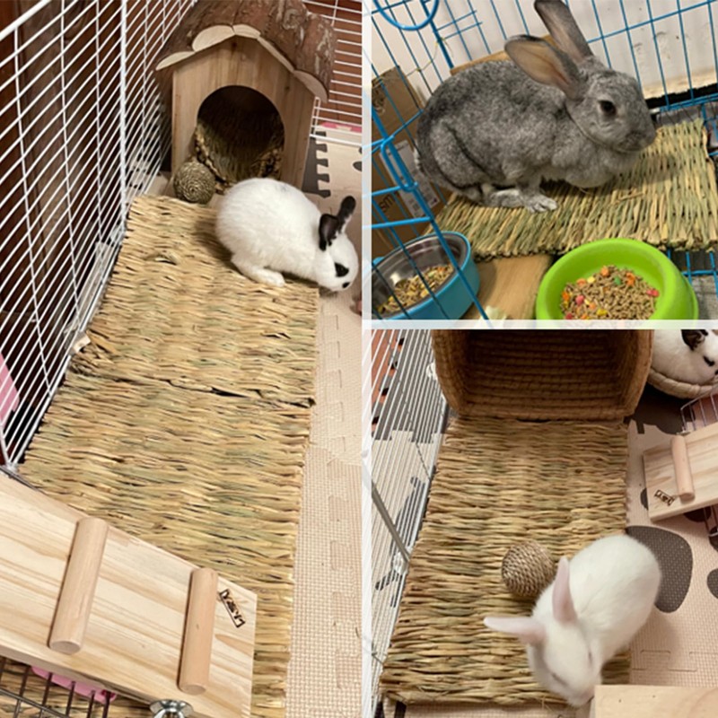 COTELEEC 2 PCS Rabbit Grass Mats, Natural Straw Hay Woven
