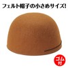 アーテック(Artec) フェルト帽子 ブラウン 小 φ165×100mm 頭囲約52cm 運動会 発表会 イベント ハッピ・衣装