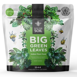 Big Green Leaves Indoor Plant Food - House Plant Fertilizer - Fast Acting Minerals +Superfood Sea Kelp | 4X More Concentrated Than Liquid Plant Food (1LB)