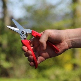 ARS Corporation 140DX-Y Family, Lightweight, Small, Fresh Flowers, Gardening Shears (Deluxe, Yellow)