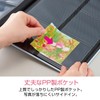 Sekisei XP-8900-22 Album Salmon