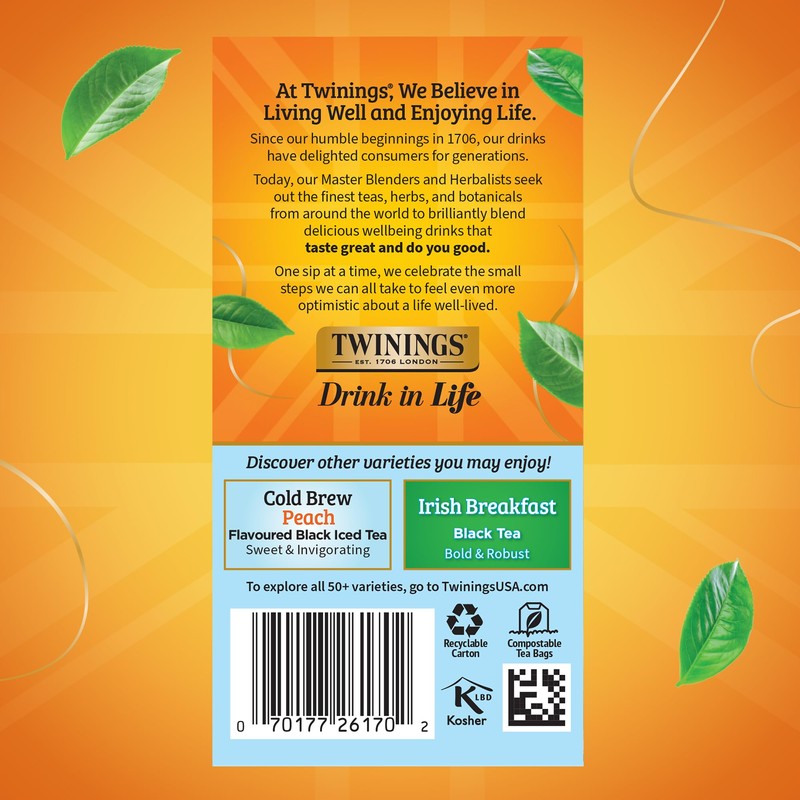 Twinings Mint Green Cold Brew Iced Tea Bags, 20 Count