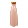 Montane Shire Ceramic 信楽焼 Ion bottle Candy Strawberry Milk, Ion