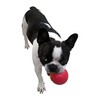 JW Pet Company Dog Toy Ice Squeeking Ball Medium Ride