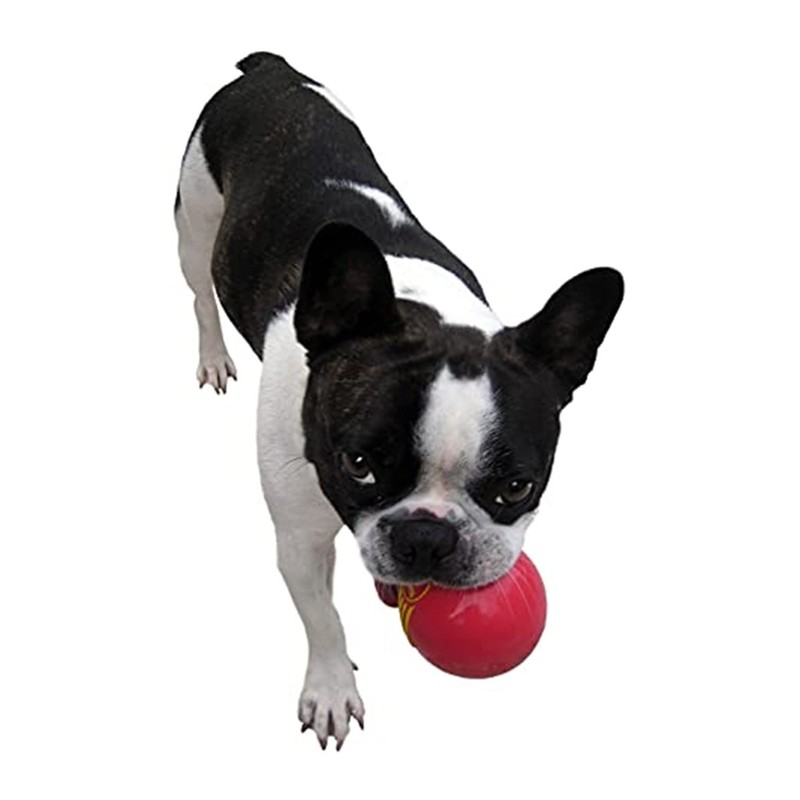 JW Pet Company Dog Toy Ice Squeeking Ball Medium Ride