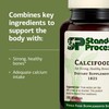 Standard Process Calcifood - Calcium Supplement for Bone Strength &