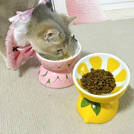 Hamiledyi Ceramic Raised Cat Bowl Anti Vomiting Elevated Tilted Cat Food & Water Bowls 2PCS Pet Feeder Dish for Indoor Cats and Small Dogs(Lemons & Pitaya).