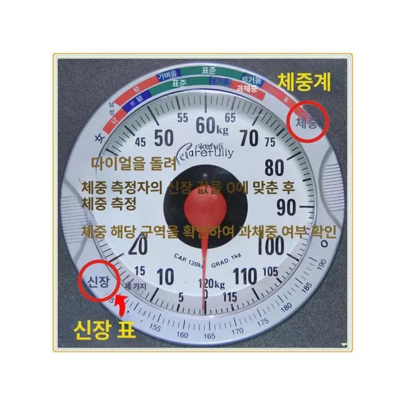Dial 아날로그 눈금식 저울 가정용 인테리어 바늘식 정밀 눈금 [C2000B