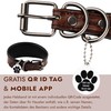 FAVPET Luxury Genuine Leather Greyhound Collar Wide with QR Code