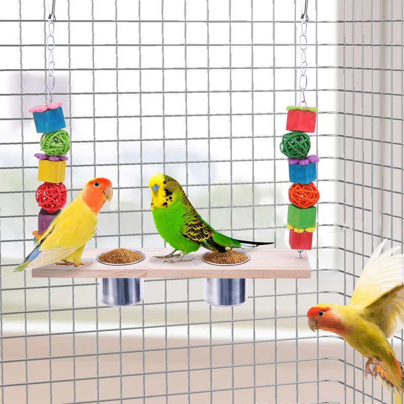 Bird Feeding Dish Cups with Parrot Perch Swing Natural Colorful