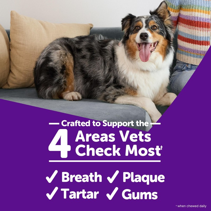 Wellness WHIMZEES Value Pack Dog Dental Treat, Chews, Freshens Breath,