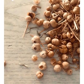 Espand Tradional Incense,1.7 Oz, اسپند