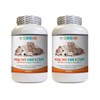 Itch Relief for Dogs - Pets Healthy Hair and Coat