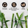 REACH Clean World Natural Bamboo Toothbrush, Soft Plant-Based Bristles, FSC
