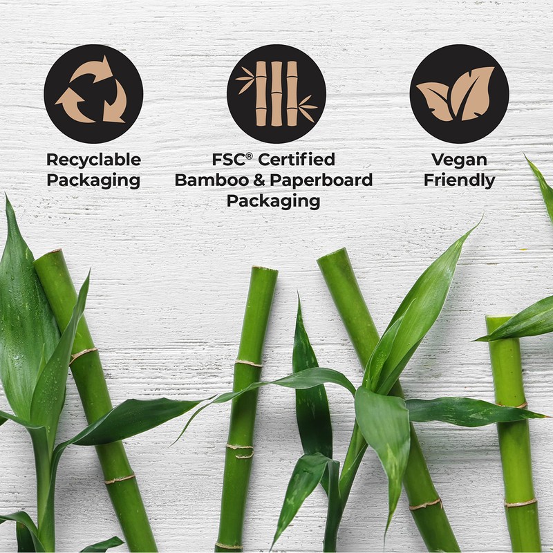 REACH Clean World Natural Bamboo Toothbrush, Soft Plant-Based Bristles, FSC