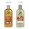 Dr. Organic Argan shampoo, 265 ml