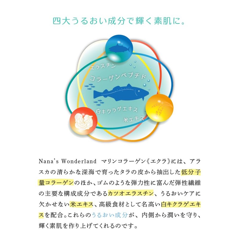 [Renewal] Small Molecular Marine Collagen Derived from the Skin of