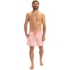 Quiksilver Men's Everyday Deluxe Volley 15 Board Shorts (Pack of