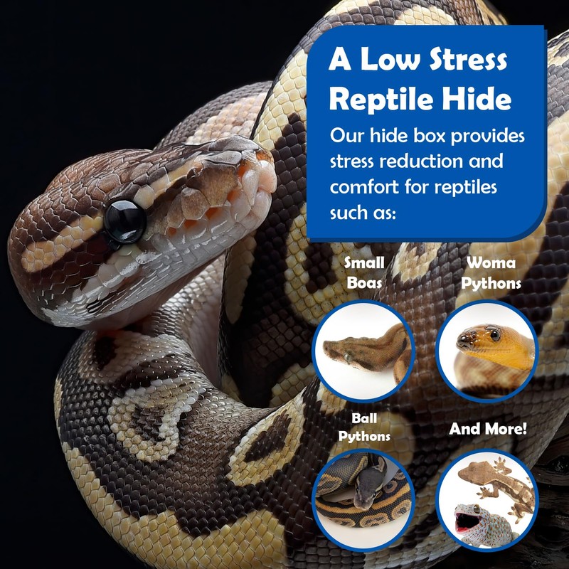 Pangea Reptile Hide Box (F - X-Large 16.25"x11"x4.5") - Fits