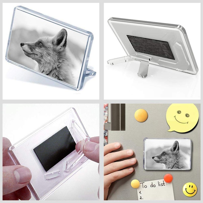 1 x Fridge Magnet - Wildfox Nature Wildlife #38710